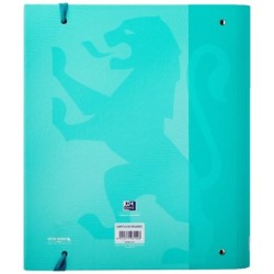 Ring binder Oxford Light Green A4+