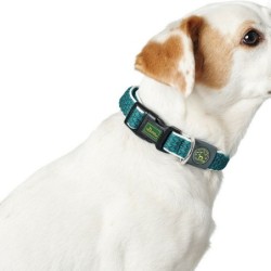 Dog collar Hunter Basic Thread Size M Anthracite (33-50 cm)