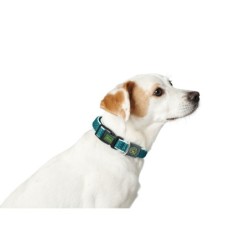 Dog collar Hunter Turquoise 12