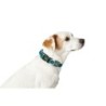 Dog collar Hunter Turquoise 12