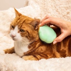 Brush Tangle Teezer   Pets Green