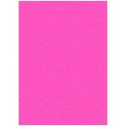 Cover Displast Magenta A4 Cardboard (50 Units)