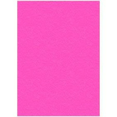 Cover Displast Magenta A4 Cardboard (50 Units)