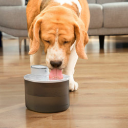 Rechargeable Cat Water Fountain with Sensor Refopet InnovaGoods