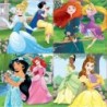 4-Puzzle Set   Disney Princess Magical         16 x 16 cm