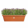 Plant pot Elho Brown 65 x 20 x 18 cm Plastic Squared