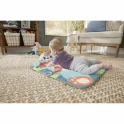 Play mat Fisher Price Plastic