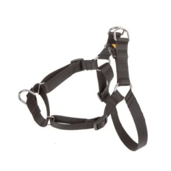 Dog Harness Dingo 94464 Black