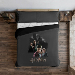 Nordic cover Harry Potter Rivalry Multicolour 240 x 220 cm King size