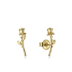 Ladies' Earrings Viceroy 13004E100-30