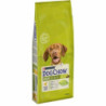 Fodder Purina Dog Chow Adult Adult Chicken 14 Kg