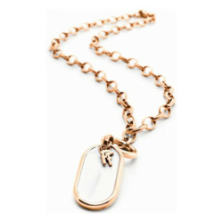 Ladies' Necklace Folli Follie 3N1T013RW70 30 cm