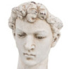 Sculpture David 28 x 22 x 33 cm Resin