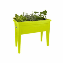 Planter Elho   Vegetables Seed tray Lime green 36,5 x 75,5 x 65 cm