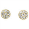 Ladies' Earrings Fossil JF02985710