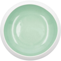 Bowl Ariane Organic Ceramic Green (16 cm) (6 Units)