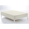 Fitted bottom sheet Alexandra House Living Cream 135/140 x 200 cm