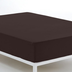 Fitted bottom sheet Alexandra House Living Brown Chocolate 90 x 200 cm