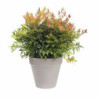 Plant pot Elho   Plastic