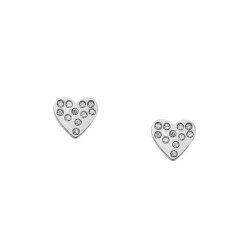 Ladies' Earrings Skagen SKJ1681040