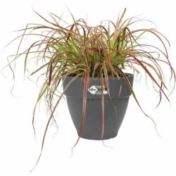 Plant pot Elho   Circular Plastic