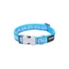 Dog collar Red Dingo STYLE FLAMINGO Turquoise 41-63 cm