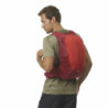 Hiking Backpack Salomon Trailblazer 20 Dark Red