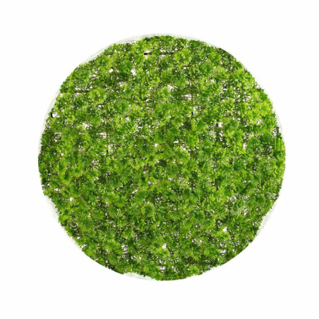 Decorative Plant   Ball Moss 30 x 30 x 30 cm