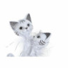 Decorative Figure DKD Home Decor 15 x 10 x 29 cm White Cats Romantic