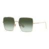 Ladies' Sunglasses Burberry DAPHNE BE 3133