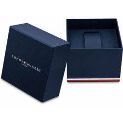 Men's Watch Tommy Hilfiger 1792063