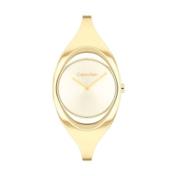 Ladies' Watch Calvin Klein 25200