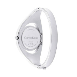 Ladies' Watch Calvin Klein 25200393