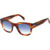 Ladies' Sunglasses David Beckham DB 7045_S