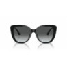 Ladies' Sunglasses Armani EA 4214U