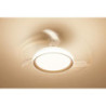 Ceiling Fan with Light Philips Atlas Golden 35 W 28 W 4500 Lm (2700 K)