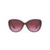 Ladies' Sunglasses Ralph Lauren RA 5288U