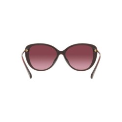 Ladies' Sunglasses Ralph Lauren RA 5288U