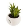 Decorative Plant Atmosphera Magnet Green PVC