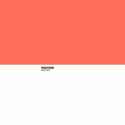 Top sheet Pantone Dark Coral 160 x 270 cm (Single)