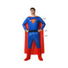 Costume for Adults Blue Comic Hero