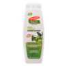 Conditioner Palmer's Olive Oil 400 ml