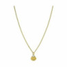 Ladies' Necklace Rosefield JPNSCG-J268 40-45 cm