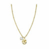 Ladies' Necklace Rosefield JTNPG-J446 40-45 cm