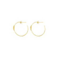 Ladies' Earrings Radiant RY000057 Stainless steel 3 cm