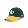 Men's hat New Era 10047540 Green One size