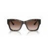 Ladies' Sunglasses Vogue VO 5524S