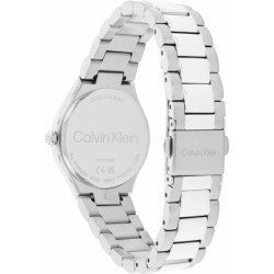 Ladies' Watch Calvin Klein  25200332