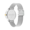 Ladies' Watch Calvin Klein 25200405