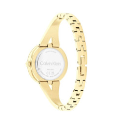 Ladies' Watch Calvin Klein 25100027